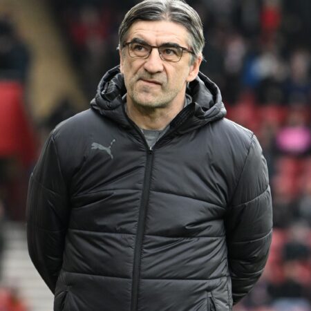 Southampton Expected to Replace Ivan Juric with Danny Rohl