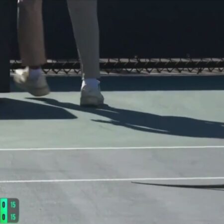 Iguana Interrupts Polina Kudermetova’s Match in Miami